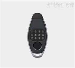 Security Key